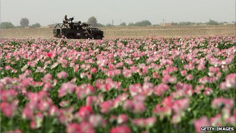 poppyfield